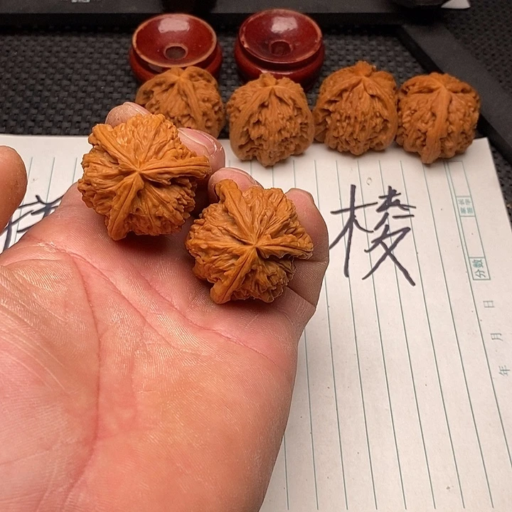 核桃手串/手链白狮子23