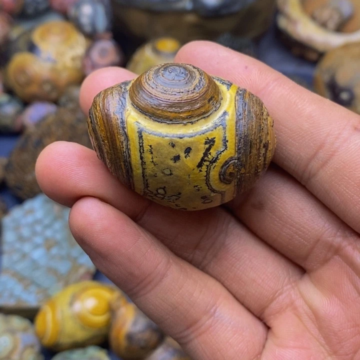 木千**川四子王旗的历史