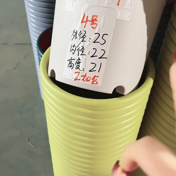 四季4号果绿无托8个特价微瑕