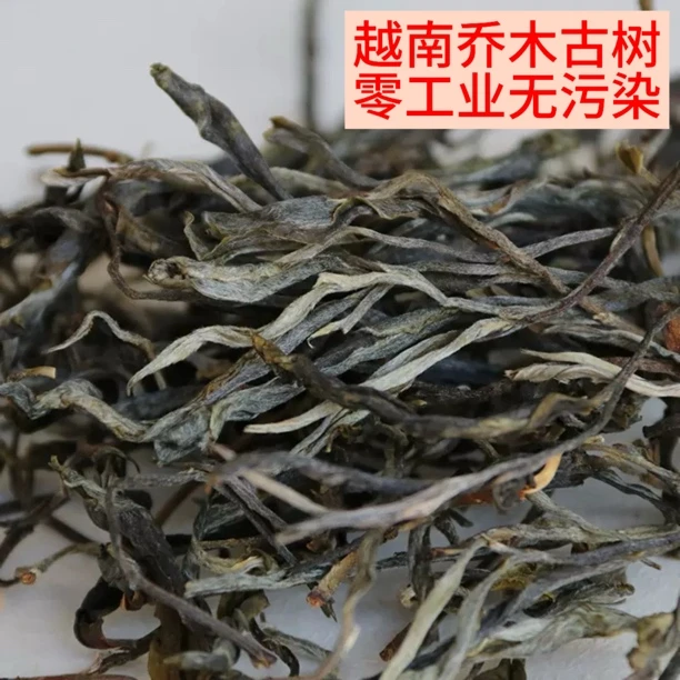 越南河江古树嗮青1号250g生茶花香蜜甜兰花香十足支持试喝