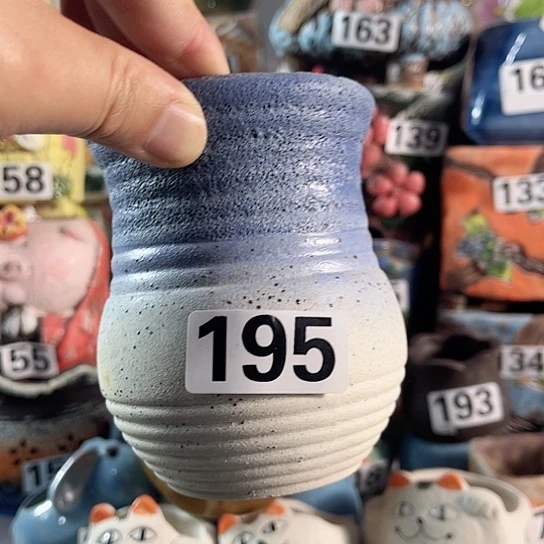 红陶多肉植物花盆