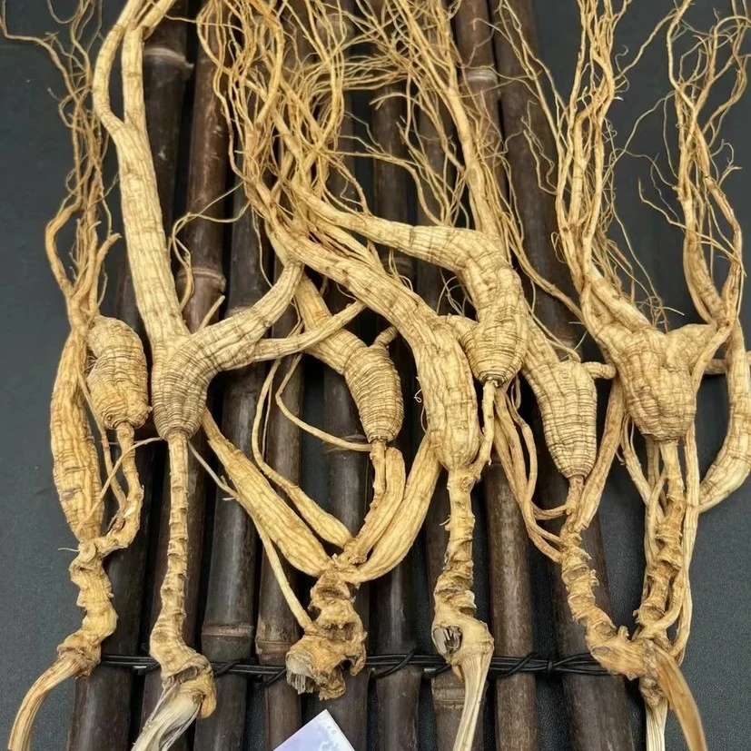 云南林下参老山参可打粉切片泡酒煲汤干货整枝