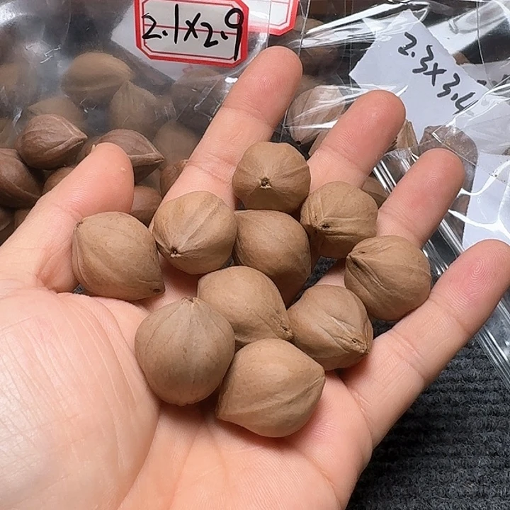 吊坠橄榄核发*机2.2❌2.8