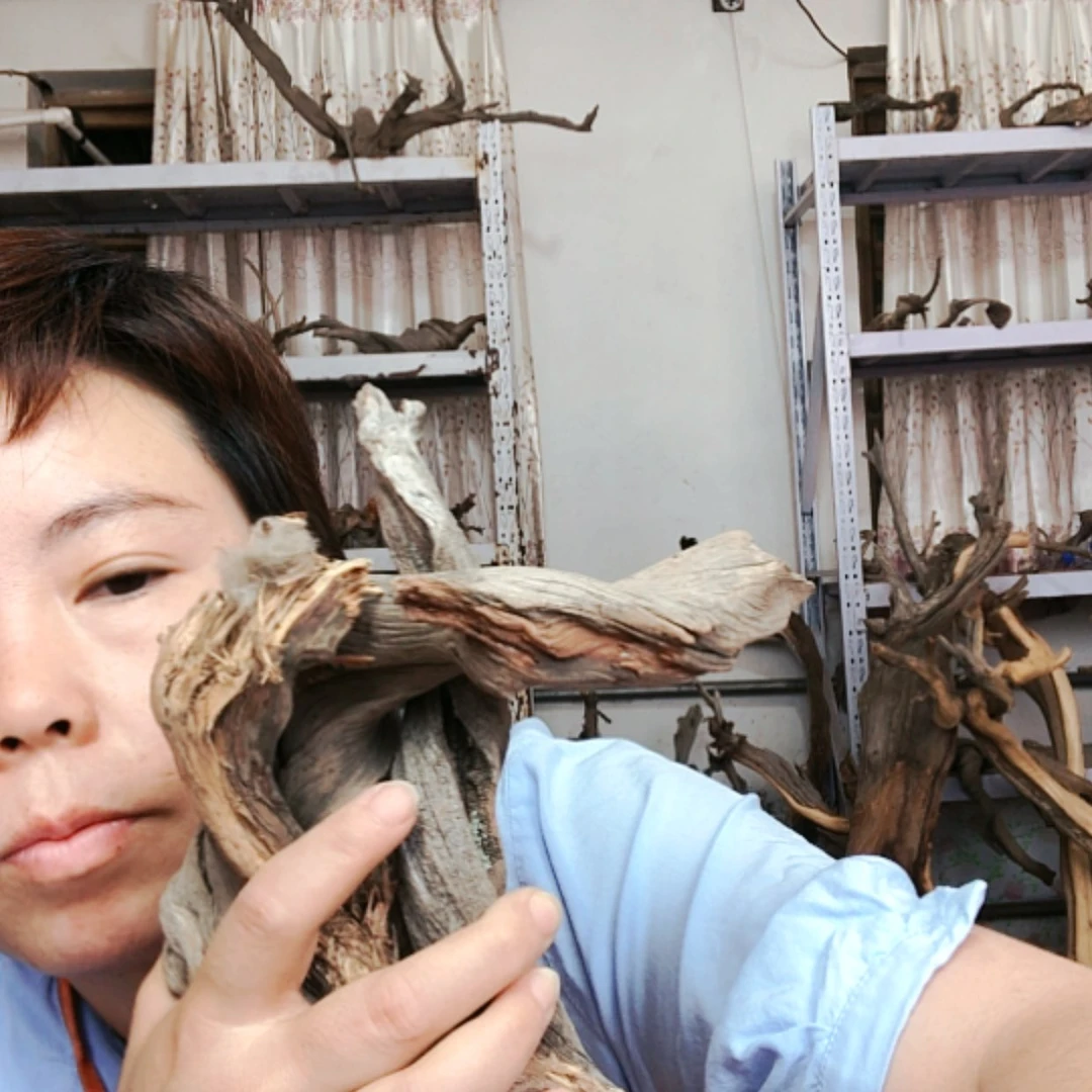 【闪购商品】香榧木信*11111111111111