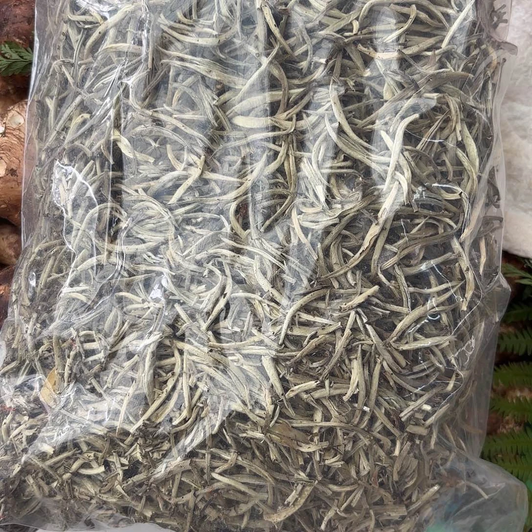 战***机云南南华野生菌中国大陆