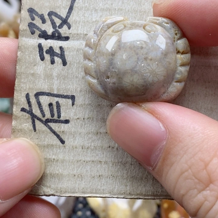 硅化珊瑚（珊瑚玉）颈饰未镶嵌悠*