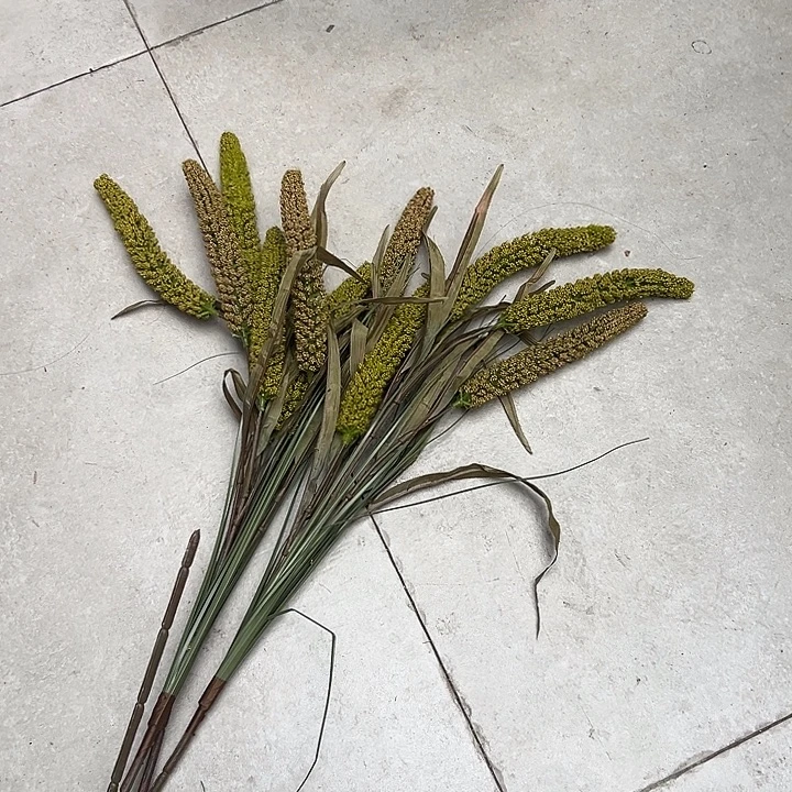 拍品大福利大福利大福利
