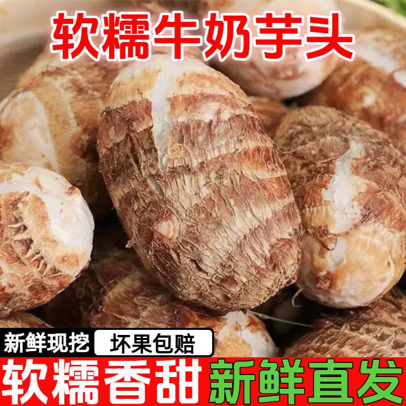 【产地直发】贵州现挖新鲜牛奶小芋头农家自种粉糯香滑芋艿当季蔬菜