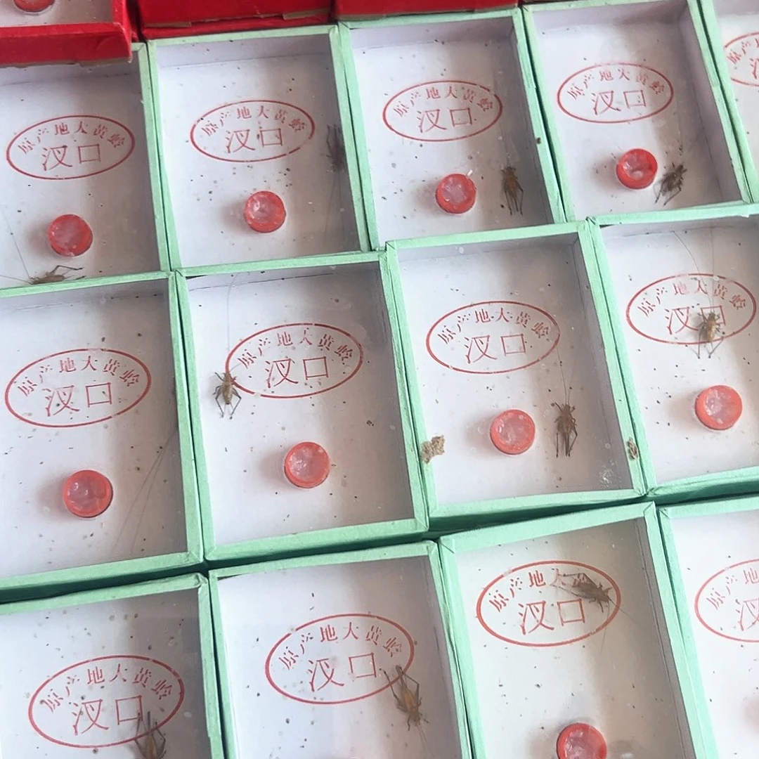 2个哈哈哈哈哈哈哈哈