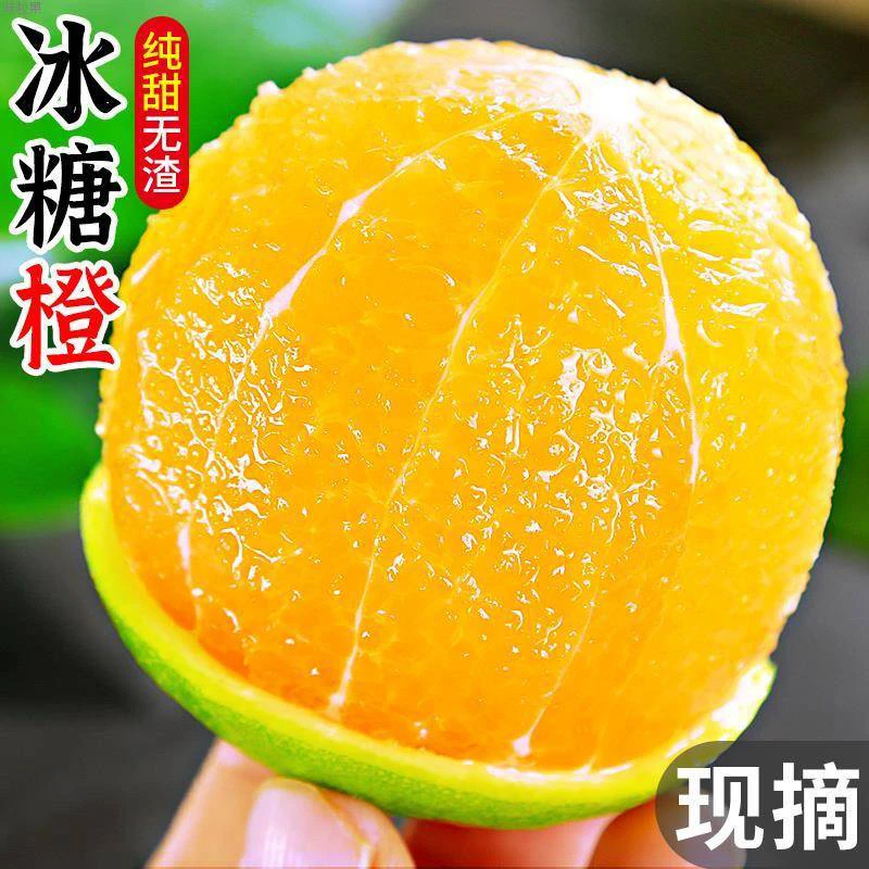 现摘云南哀牢山新鲜青皮冰糖橙薄皮多汁酸甜爽口应季水果溃疡果