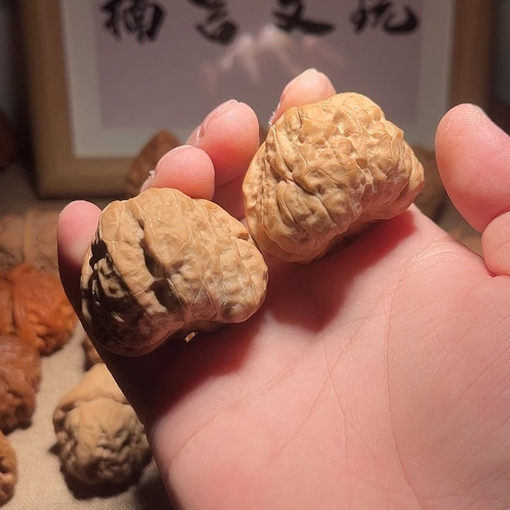 大叶紫檀（黑酸枝木类）