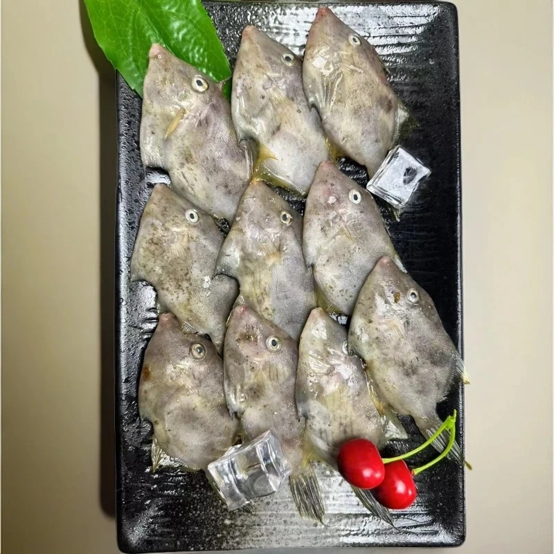 汕头海门本港海鲜 浅海正旗迪 剥皮鱼 广东省内顺丰包邮