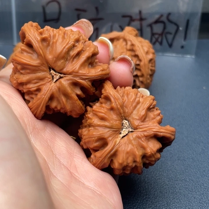 陳***生文玩核桃吊坠白狮子