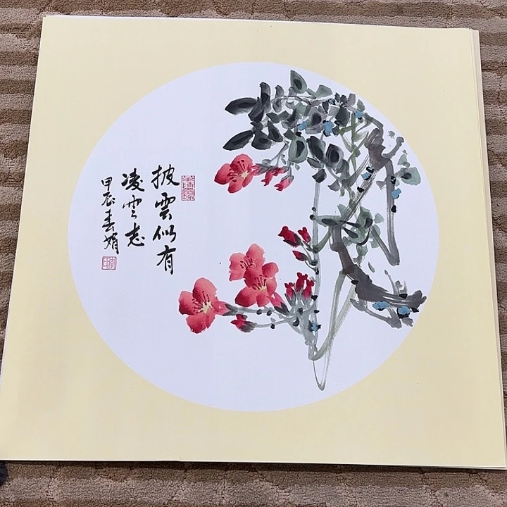 国画花鸟等多种鸟类的栖息50.50