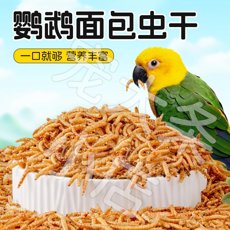 【宠大条】鹦鹉面包虫干奖励零食吃的虫子虎皮玄凤专用营养鸟粮饲料