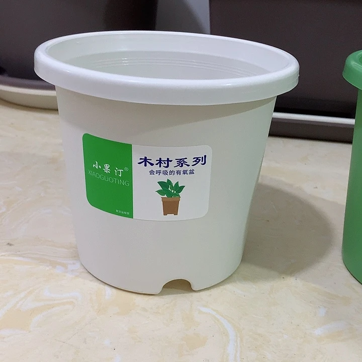 小果汀15口白10个无托