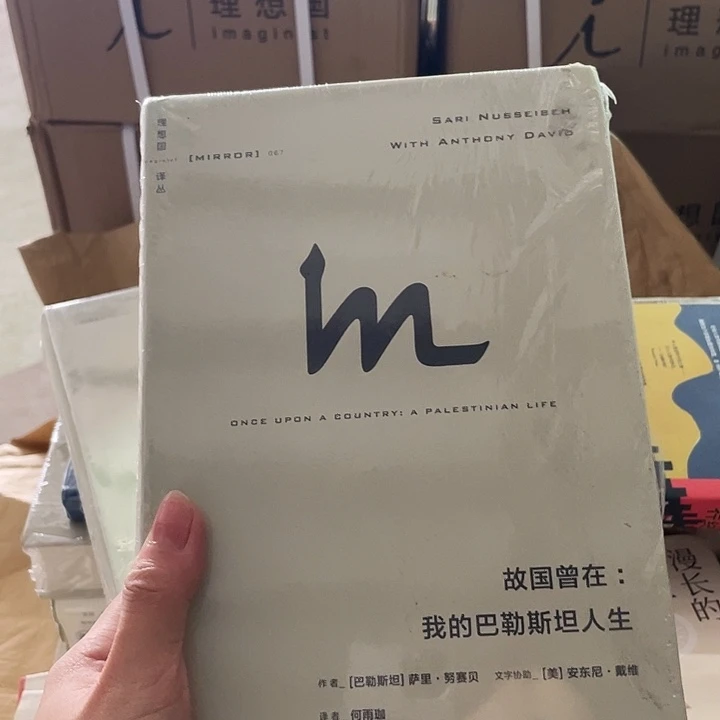 故国曾在微瑕微瑕