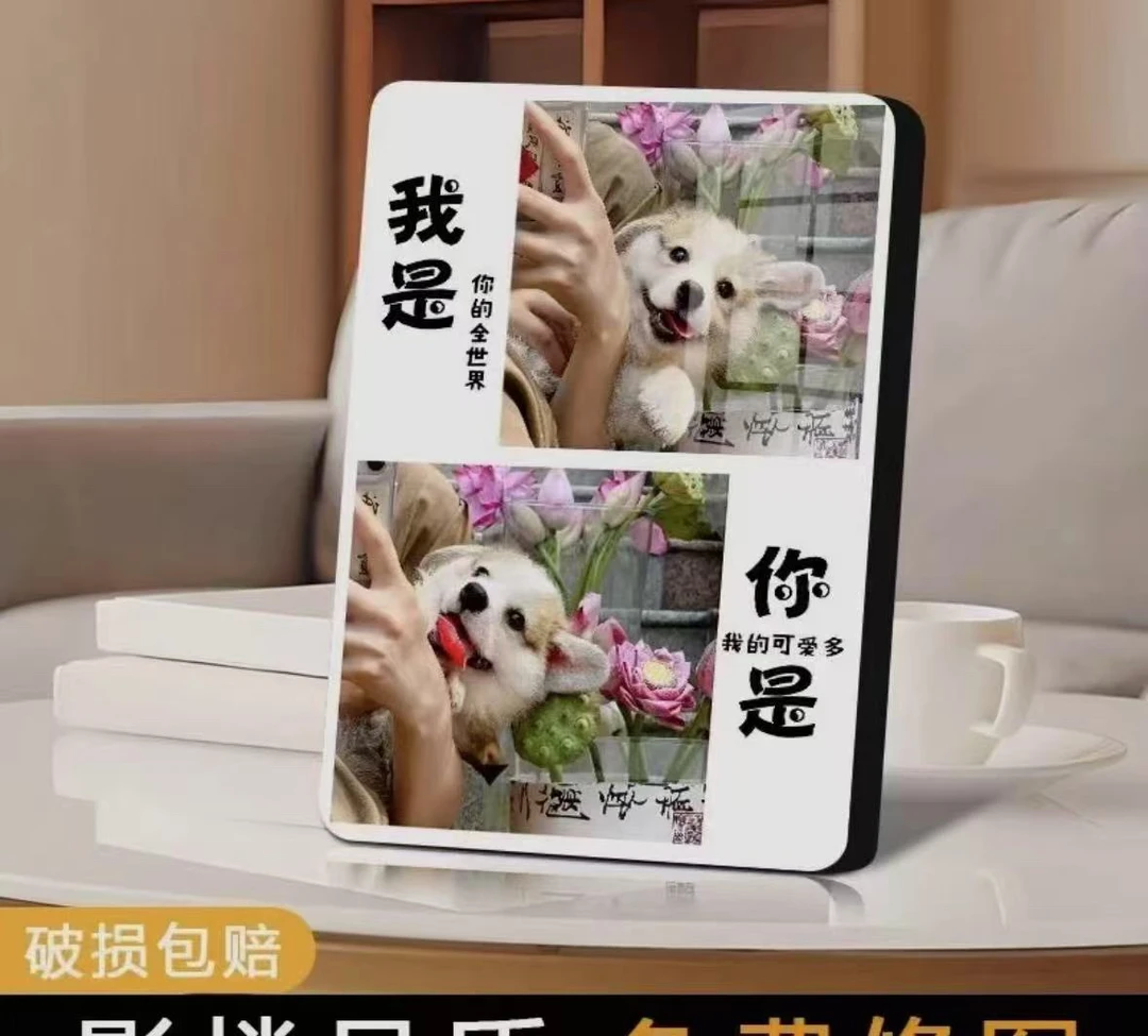 宠物照片定制相框创意画片个性设计家居装饰