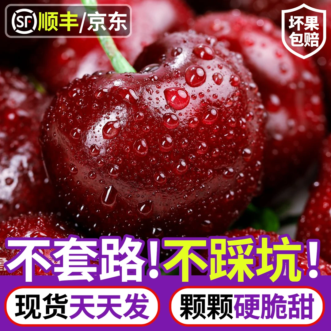 【空运车厘子】智利进口桑提娜顺丰京东冷链礼盒发1-4J内附果径卡