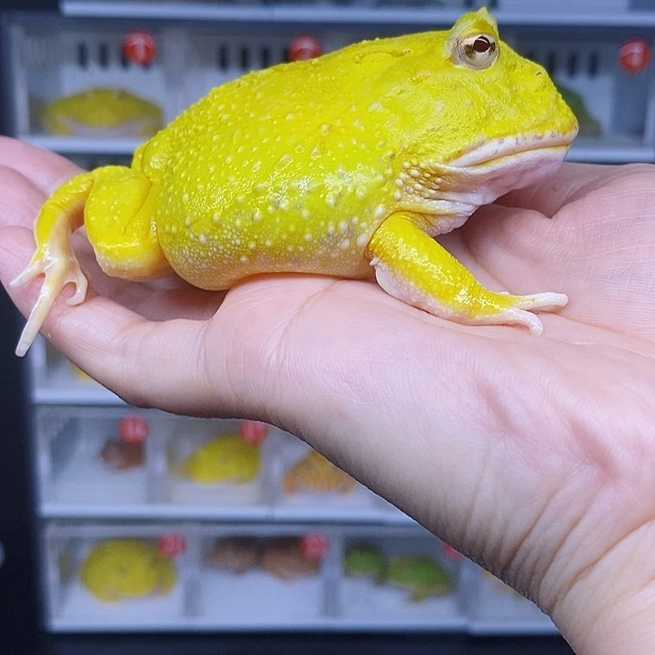 特价秒杀特价活动