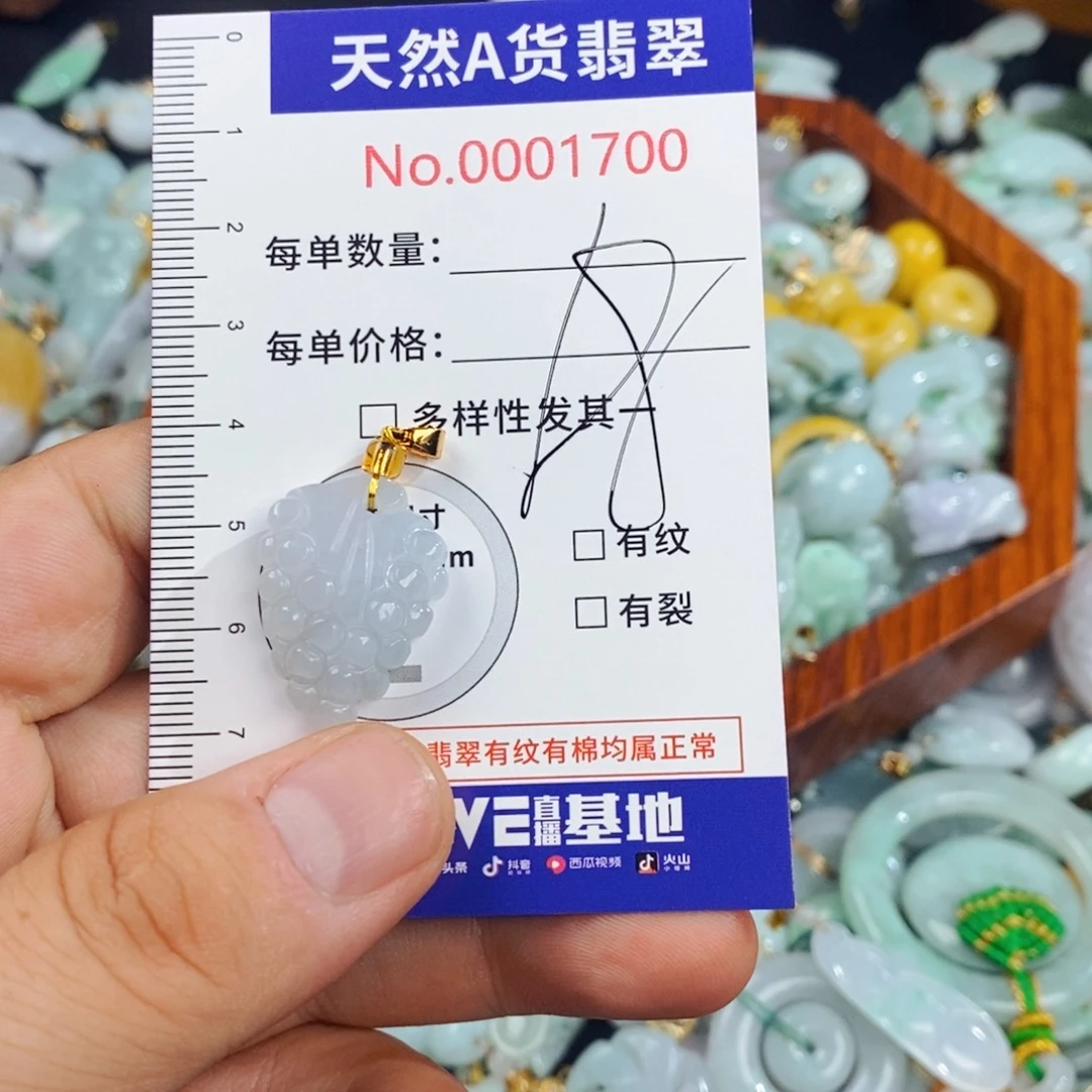 颈饰未镶嵌翡翠1700