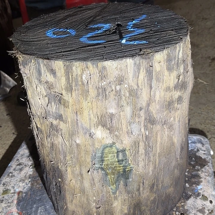 林***者金丝楠啊啊啊啊啊啊啊