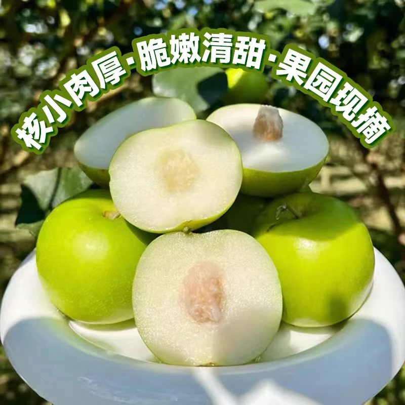 正宗苹果枣牛奶枣新鲜采摘清甜爽口当季应季水果