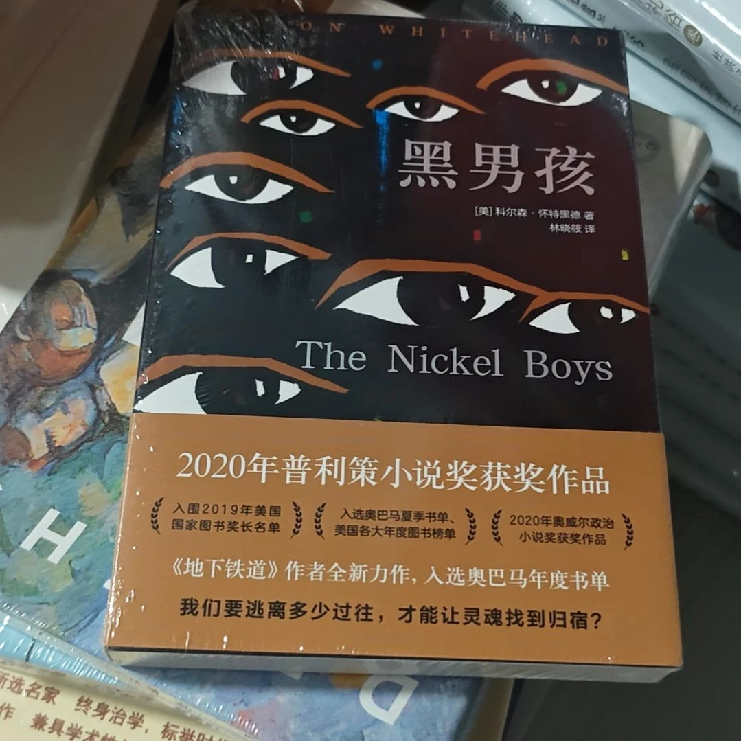 黑男孩平装库存书
