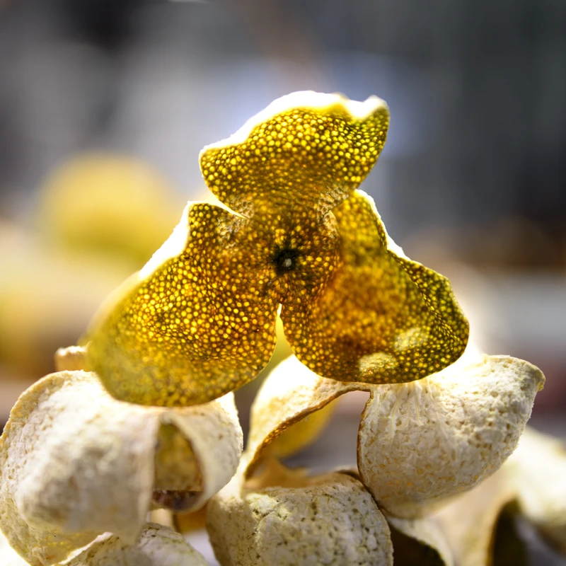 买2送1买3送2~二红皮【自家梅江】2025新皮18年老树生晒新会陈皮