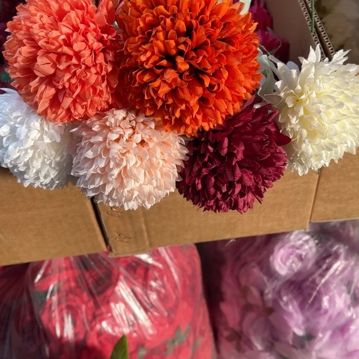 葱球花10枝备注颜色