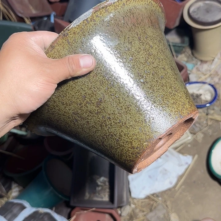 不说你是怎么对我们这些大美女了