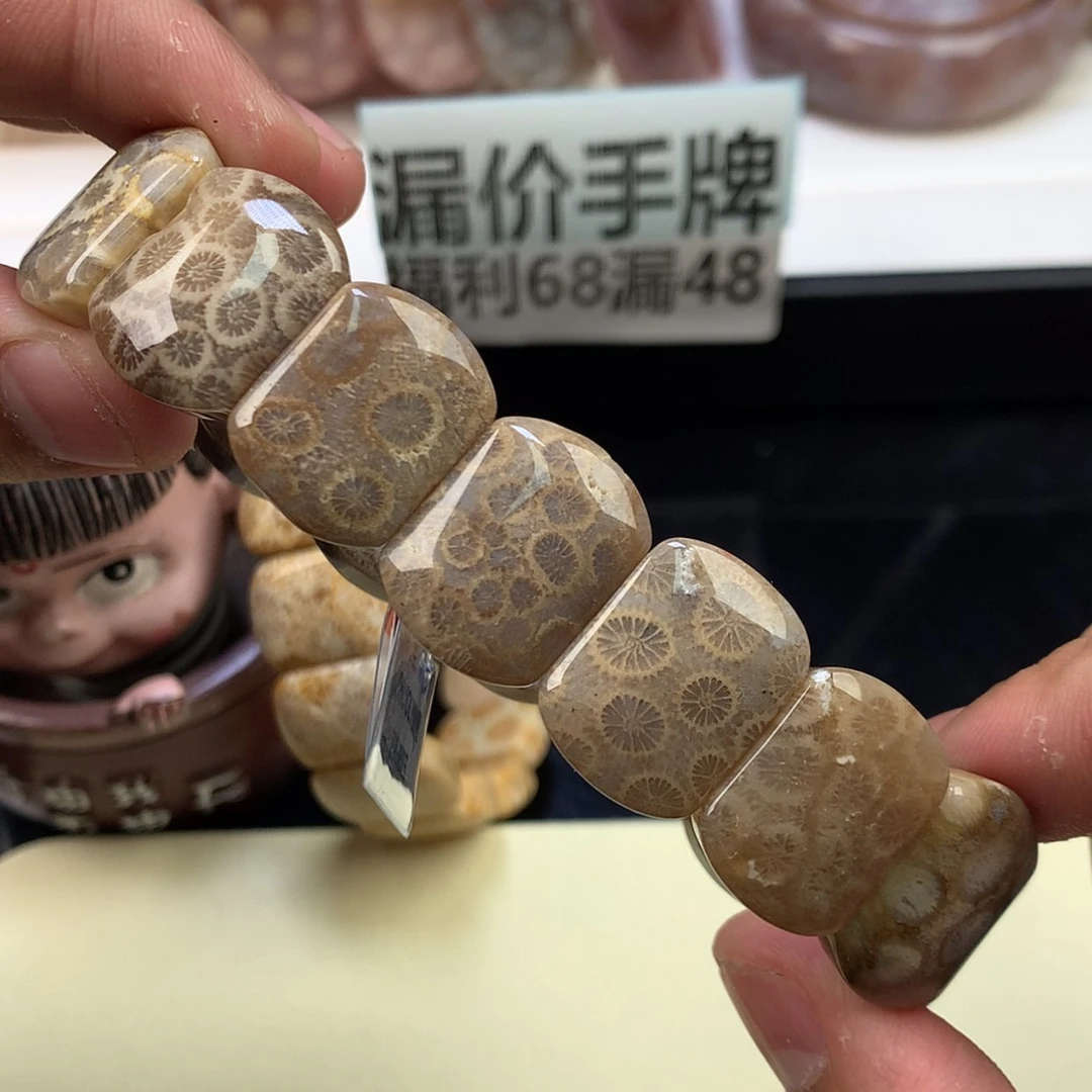 【闪购商品】颈饰未镶嵌硅化珊瑚（珊瑚玉）20号黑咖色超漏