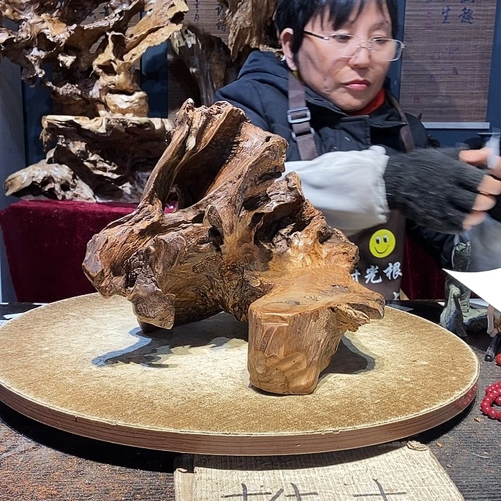 豹***9298。株木随行根艺