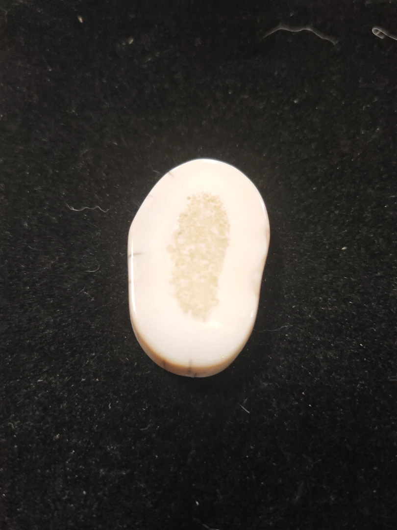 猛犸猛犸虬饼子WW575