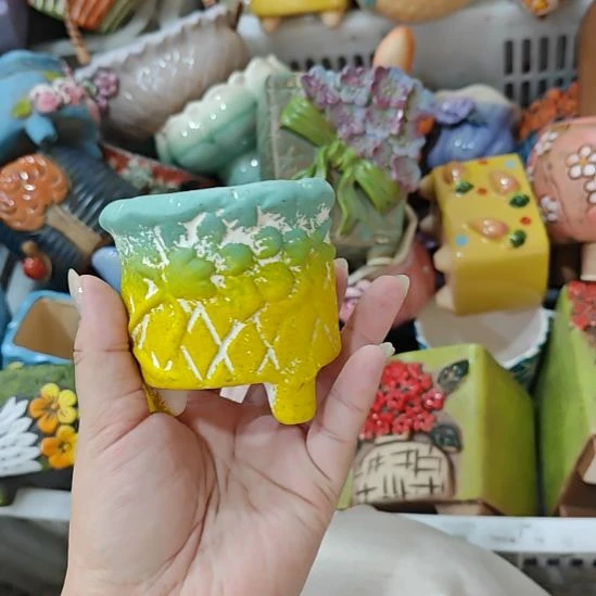 当场拍满15元包邮发货，金额不够发泡沫不发花盆，不凑单真亏钱请别