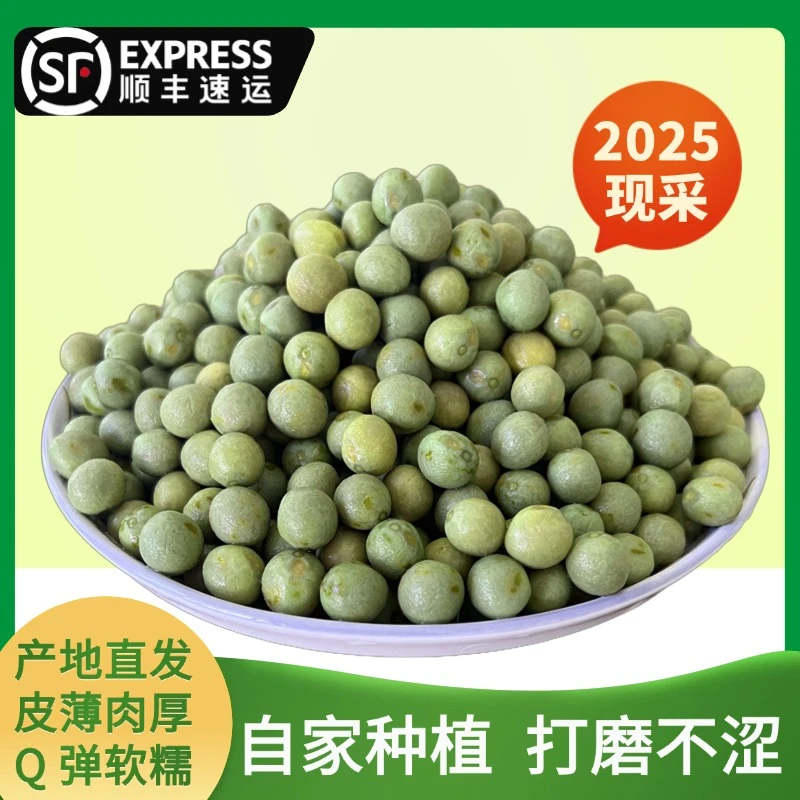 【顺丰发货】2025中果10-12mm新鲜带壳鸡头籽芡实鸡头米鸡头果