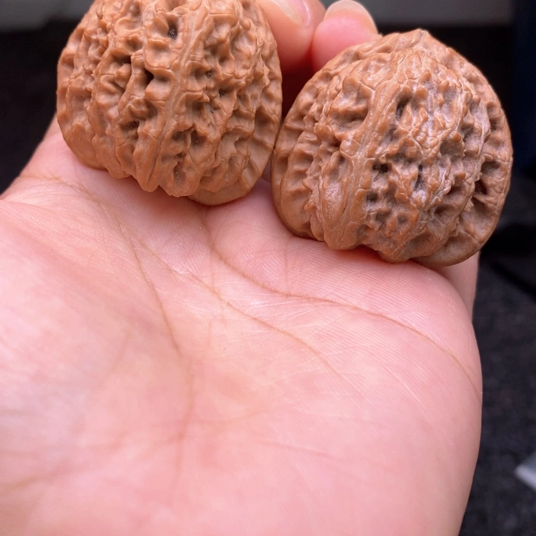 文玩核桃把件35白狮子