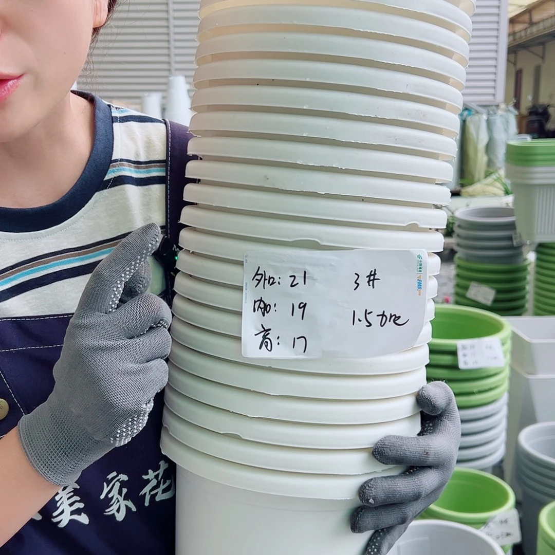 瑕疵四季盆3#白色10个无托
