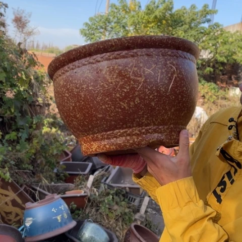 花盆紫砂特价特价包邮送