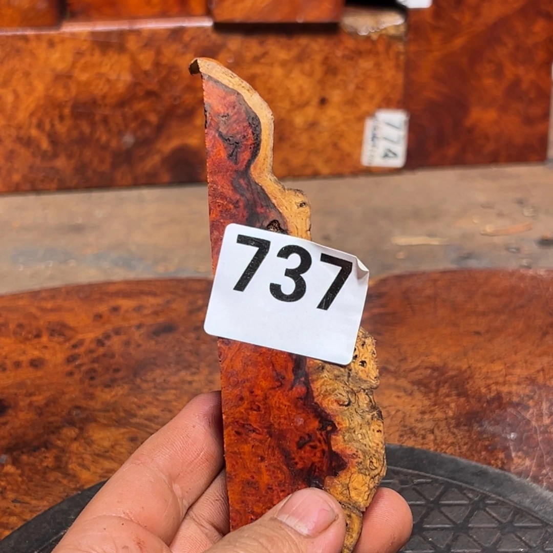 就***意大果紫檀（缅甸花梨）