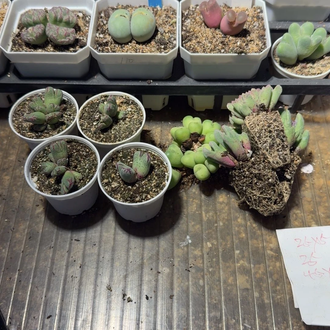 琳***宝福利一下