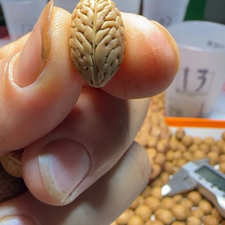 桃核手串大号钱袋子