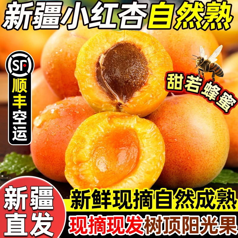 【顺丰空运】新疆直发 正宗阿克苏小红杏 吊干杏 杏子 新鲜应季水果