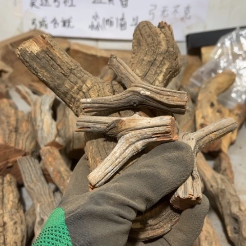 大果紫檀（缅甸花梨）?*悦