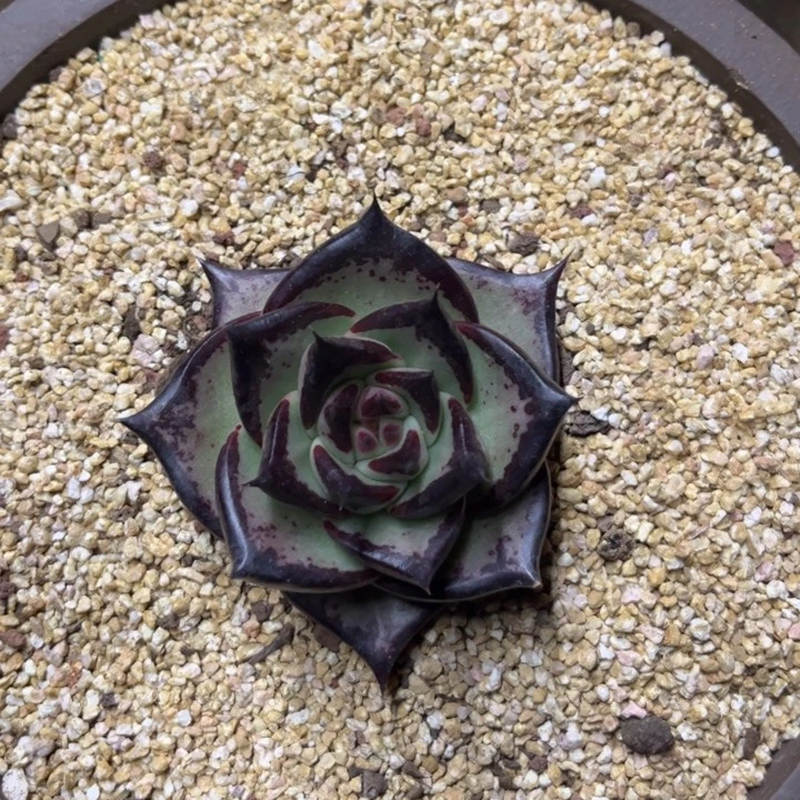 小美宽11111111111