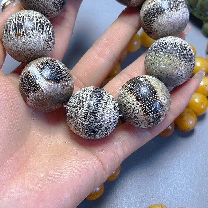 大果紫檀（缅甸花梨）