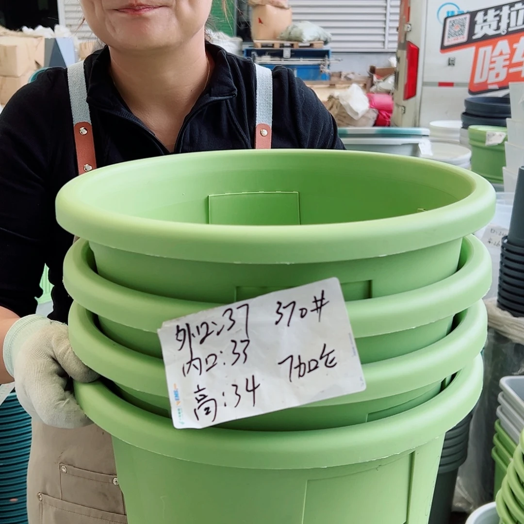 玫瑰370#果绿色4个无托