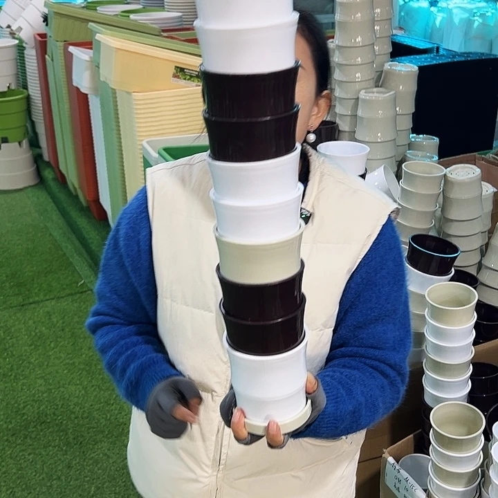 特价竹节口10高10米色带托10只