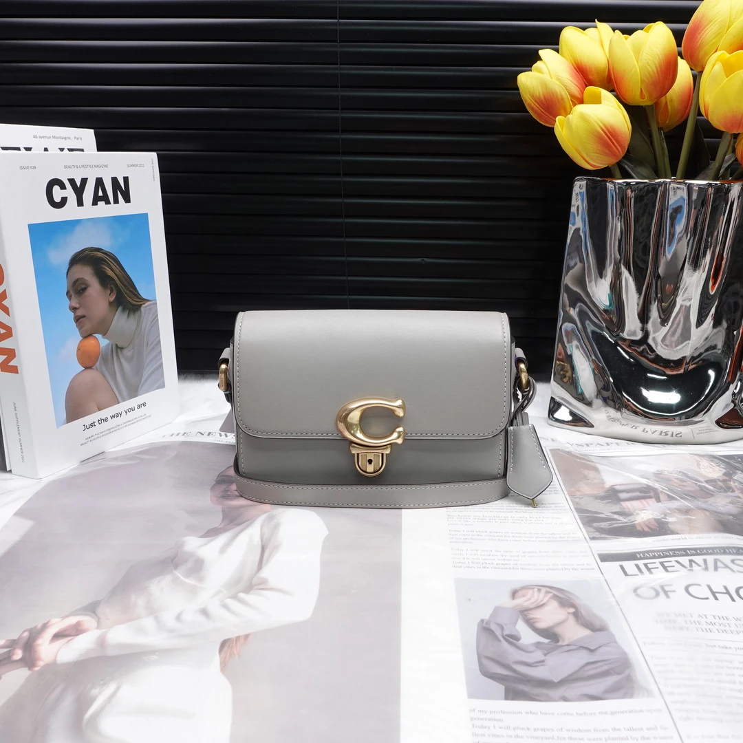 95新 COACH/蔻驰 单肩包/T10217428