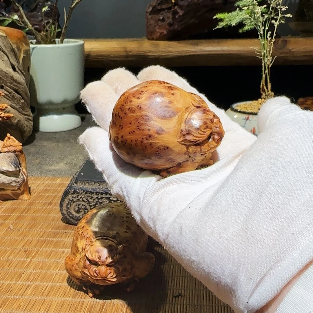 柏木（崖柏）太行集团